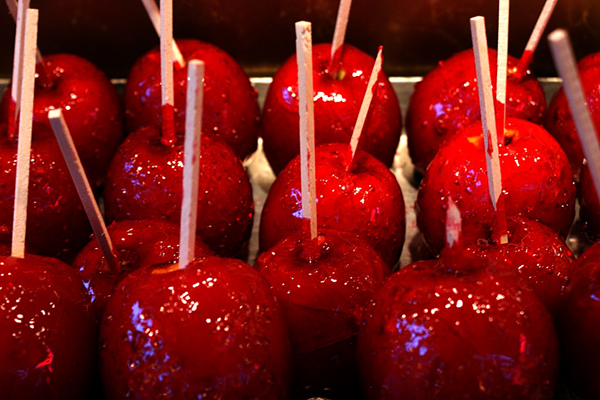 strasbourg strasbourg