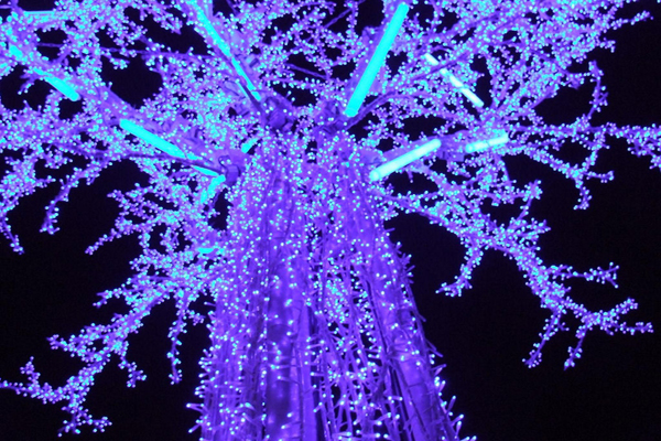 strasbourg strasbourg