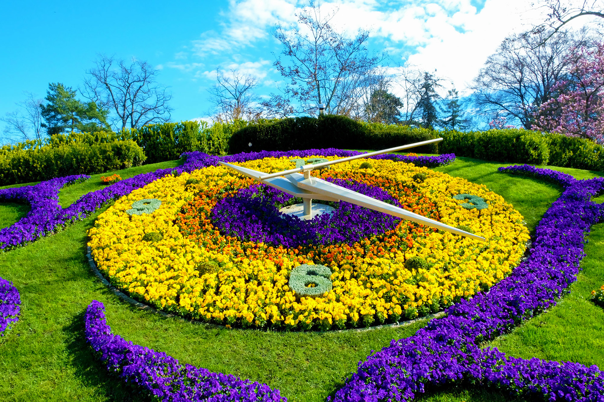 Horloge Fleurie Horloge Fleurie